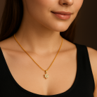 SET-001-CP (1)
